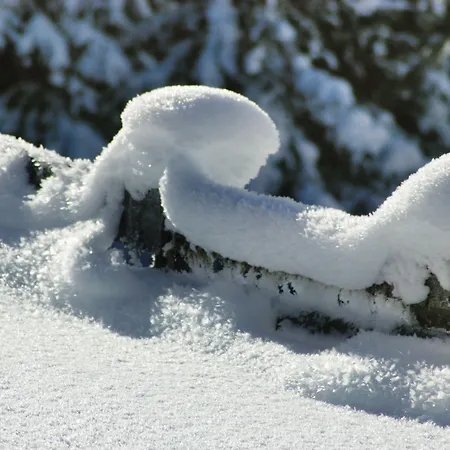 Alpenherz Garni 4* ゲルロス