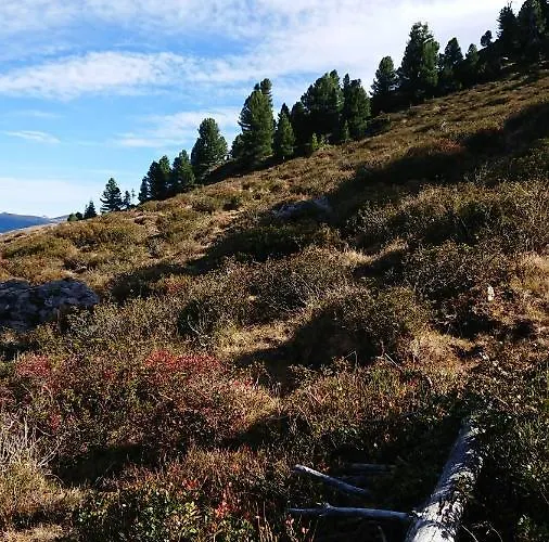 Hotel Alpenherz Garni